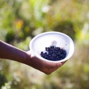 Berries in a bowl.