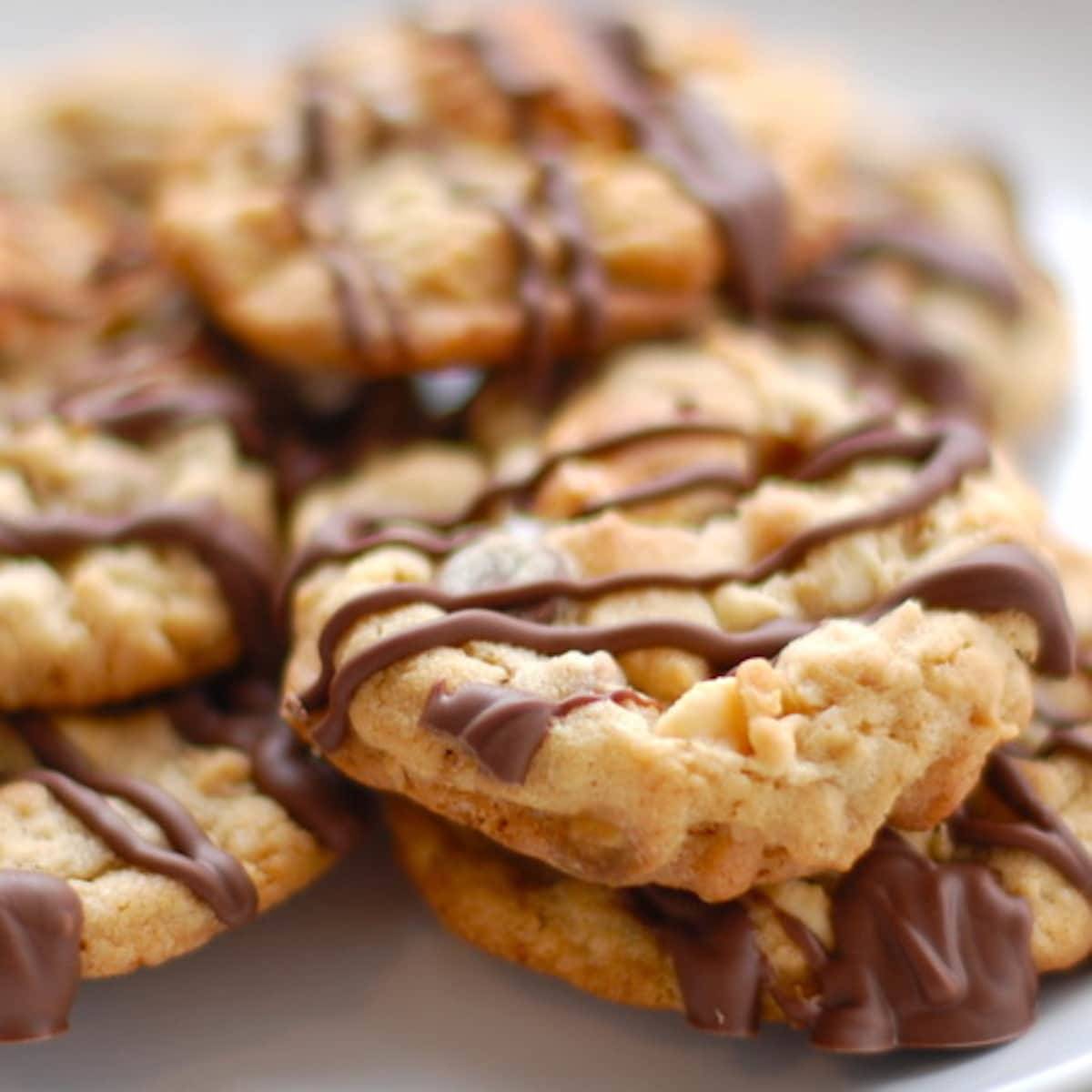 Marshmallow monster cookies with chocolate drizzle.